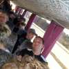 bild084