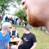 bild037